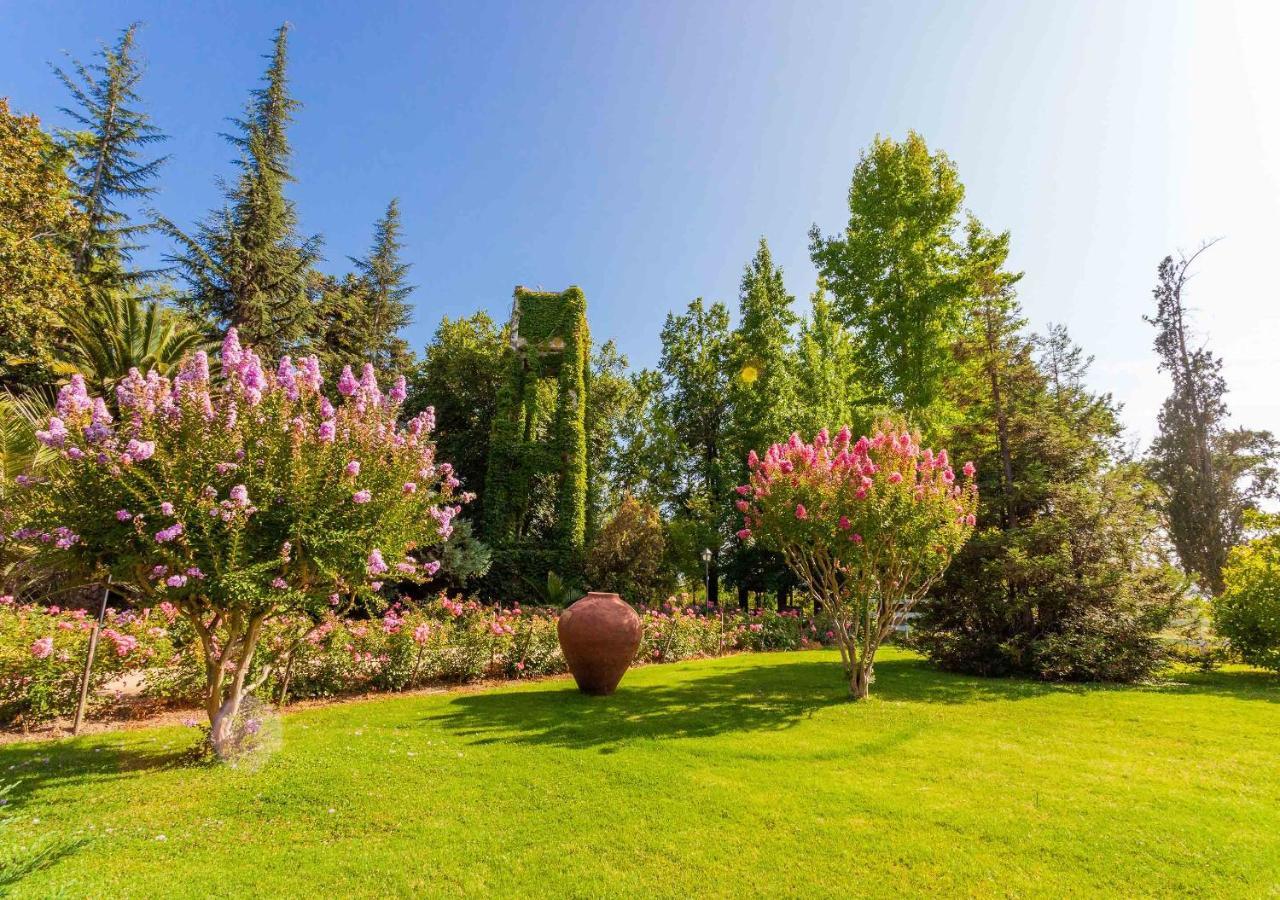 Hotel Boutique Almahue Пичидегуа Экстерьер фото